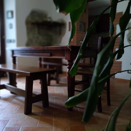 Agriturismo Il Pozzo Campagnatico Bagian luar foto